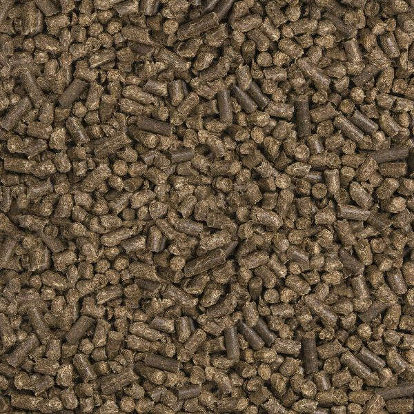 Höveler Pur.Luzerne Cob